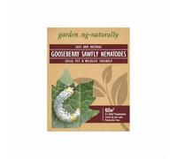 Gooseberry Sawfly Nematodes for Fruit and Vegetable Plants, Raised Beds and Soil Pest Control UK, Natural Garden Treatment for Gooseberry and Currant Bushes 30m² 2 Treatments one W part