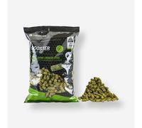Gooster Pellet Baby Corn Hempseed Spicy 8mm 0.7kg For Still Carp Fishing