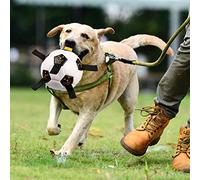 Gor Pets Super Soccer Football Dog Toy with Nylon Tabs for Fetch Tug Retrieve - Durable TPU Eco-Friendly Chew-Proof - Includes Pump