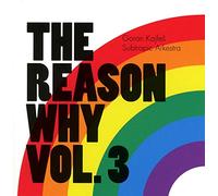 Goran Kajfes Subtropic Arkestra - The Reason Why Vol.3