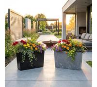 Gordanluk Large Rectangular Trough Planter - Self-Watering with Removable Insert/Liner - Concrete-Effect, Indoor/Outdoor | Modern tall Polypropylene Window Box -56 x 19 x 36.5 cm | Black