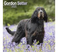 Gordon Setter Calendar 2025 Dog Gift Wall Calendar 15% OFF MULTI ORDERS