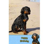 Gordon Setter Dog Birthday Greeting Card