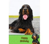 Gordon Setter Dog Birthday Greeting Card
