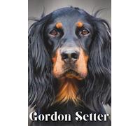 Gordon Setter: Dog breed overview and guide