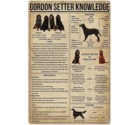 Gordon Setter Knowledge Metal Signs Gordon Setter Infographic Tin Posters Dog Encyclopedia Chart Plaques Home Room Kennel Retro Tin Sign 8x12 Inch