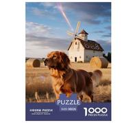 Gordon SetterPuzzles 1000 Piecespet Dog Premium Box, Extra Fun Challenges, for Women/Men, Brain-Teasing Gift38x26cm/1000pcs