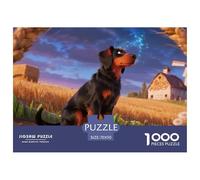 Gordon SetterPuzzles 1000 Piecespet Dog Premium Box, Extra Fun, Challenging Puzzles, for Women/Men, Adult Jigsaw Game70x50cm/1000pcs
