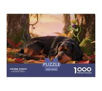 Gordon SetterPuzzles 1000 Piecespet Dog Scene Challenging Paper Puzzle, Family Activity, Gift for Women/Men, Difficult Puzzle70x50cm/1000pcs