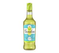 Gordon's Elderflower & Lime Spritz, 500 ml