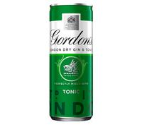 Gordon's & Tonic 250ml