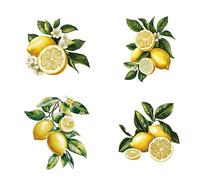 GORGECRAFT 4Pcs Lemon Window Decals Summer Fruit Green Leaves Static Sliding Door Glass Window Decals Round Decorative Alert Stickers for Prevent Stop Birds Dogs Pets Strikes Home Decor 16x16cm