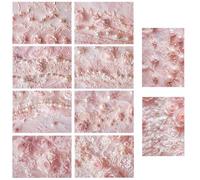 GORGECRAFT 60Pcs Floral Pattern Scrapbook Paper Pink Vintage Scrapbooking Papers Flower Pearls Decorative Journaling Art Craft Paper Supplies for Junk Journal Planner Card Making Photo Decor 14 x 10cm