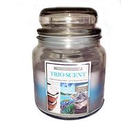 Gorgeous Beach Sea Scented Jar Candle with 3 Complementary Scents of Beach Holidays by The Sea Coconut Sea Salt, Spa Waters & Midnight Rain