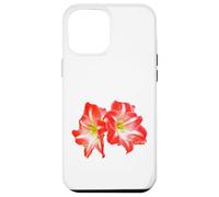 Gorgeous Couple Red Amaryllis Flower - Hippeastrum on White Case for iPhone 12 Pro Max