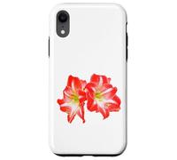 Gorgeous Couple Red Amaryllis Flower - Hippeastrum on White Case for iPhone XR