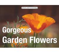 Gorgeous Garden Flowers: A conversation-starter, memory-jogger and engaging picture book for care home residents, dementia patients, invalids, seniors ... indoors (Short & Snappy Picture Books)