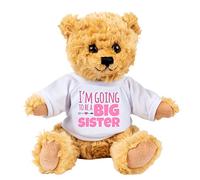 Gorgeous Gift House I'm Going to Be A Big Sister Teddy Bear Gift from New Baby - Pregnancy Announcement - Gifts for Siblings Brown, 8 inches