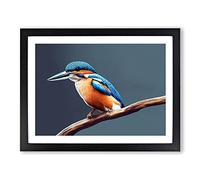 Gorgeous Kingfisher Bird H1022 Framed Print for Living Room Bedroom Home Office Décor, Wall Art Picture Ready to Hang, Black A3 Frame (46 x 34 cm)