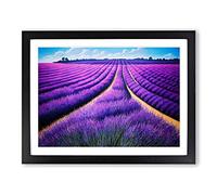 Gorgeous Lavender Flower Field H1022 Framed Print for Living Room Bedroom Home Office Décor, Wall Art Picture Ready to Hang, Black A3 Frame (46 x 34 cm)