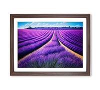 Gorgeous Lavender Flower Field H1022 Framed Print for Living Room Bedroom Home Office Décor, Wall Art Picture Ready to Hang, Walnut A3 Frame (46 x 34 cm)