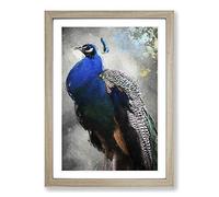 Gorgeous Peacock Bird Framed Print | A2 Oak Framed Wall Art | Ready to Hang | Modern Animal Picture | Living Room Bedroom Lounge Office