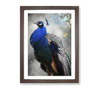 Gorgeous Peacock Bird Modern Framed Print | A4 Walnut Framed Wall Art | Ready to Hang | Modern Animal Picture | Living Room Bedroom Lounge Office