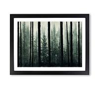 Gorgeous Pine Tree Forest H1022 Framed Print for Living Room Bedroom Home Office Décor, Wall Art Picture Ready to Hang, Black A3 Frame (46 x 34 cm)