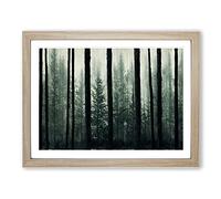Gorgeous Pine Tree Forest H1022 Framed Print for Living Room Bedroom Home Office Décor, Wall Art Picture Ready to Hang, Oak A3 Frame (46 x 34 cm)