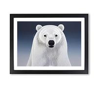 Gorgeous Polar Bear H1022 Framed Print for Living Room Bedroom Home Office Décor, Wall Art Picture Ready to Hang, Black A3 Frame (46 x 34 cm)