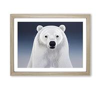 Gorgeous Polar Bear H1022 Framed Print for Living Room Bedroom Home Office Décor, Wall Art Picture Ready to Hang, Oak A3 Frame (46 x 34 cm)