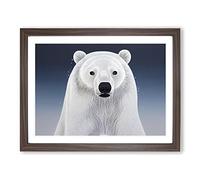 Gorgeous Polar Bear H1022 Framed Print for Living Room Bedroom Home Office Décor, Wall Art Picture Ready to Hang, Walnut A3 Frame (46 x 34 cm)