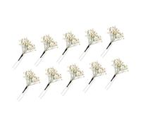 Gorgeous Preserved Flower Hair Clip Featuring Pearl Particulars for Formal Occasions Nature Inspired Bridal Hairpiece
