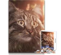 Gorgeous Siberian Cat 1000 Piece Jigsaw Puzzles for Adults Teenagers Creative Problem Solving Game Heartfelt Memorable Gift Idea Size 38x26cm