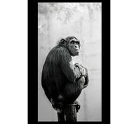 Gorilla - Animals Of The World: Notebooks with Animals for Kids, Notebook for Drawing and Writing (Colorful & Cartoon Cover, 100 Pages, Blank, 6x9), (Animals of the Word)