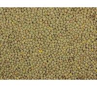 Gorilla Food Co. Green Lentils Whole Dried - 5kg (Bulk Pack)