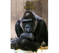Gorilla Monkey Birthday Card