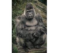 Gorilla Notebook: Amazing Gorilla Blank Lined Notebook Animal Themed Journal Gift For Monkey Lovers 6x9 120 pages
