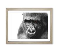 Gorilla With Brown Eyes Painting Modern Art Framed Print | A4 Oak Framed Wall Art | Ready to Hang | Modern Animal Picture | Living Room Bedroom Lounge Office