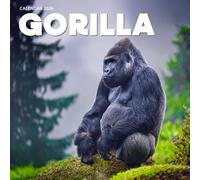 Gorillas Calendar 2026: Wildlife Photography of Majestic & Intelligent Great Apes