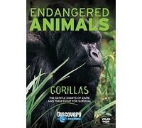 Gorillas: Endangered Animals [DVD] [2007]
