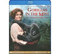 Gorillas in the Mist [Blu-ray] [1988] [US Import]