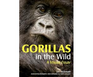 Gorillas in the Wild: A Visual Essay