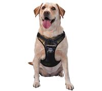 Gorillas Large Printed pet Traction Vest - Suitable for Dog Walking, Hiking and Outdoor Adventures,