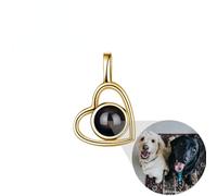 gorm Locket Necklace Personalised Photo Necklace Pendant Custom Photo Projection Necklace Pendant Christmas Gifts for Women (Type A Gold,1pcs)