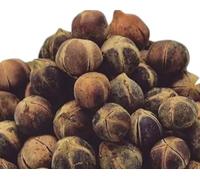 Gorontula Fruits Snot Apple (Azanza Garckeana), Traditional African Fruit, 12 Pieces (DRIED)