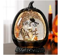 Gorrzai Halloween Snow Globe with Skeleton Owl Pumpkin, Musical Halloween Decorations Indoor for Home Lighted Skeleton Snow Globe with Timer Swirling Glitter, USB or Battery Operated
