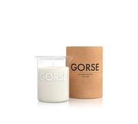 Gorse Candle 200g Laboratory perfumes Misc 200g