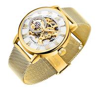 Gosasa Unique Mens Automatic Watch Transparent Watch Dial Hollow Skeleton Silver Tone Mesh Band Watch … B07CZNYMLY, Gold White, Modern