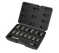 Gosera 15 Piece Double Head Screw Extractor Set,Easy Out Bolt Remover Kit, 3/8Inch Drive Hex Head Multi-Spline